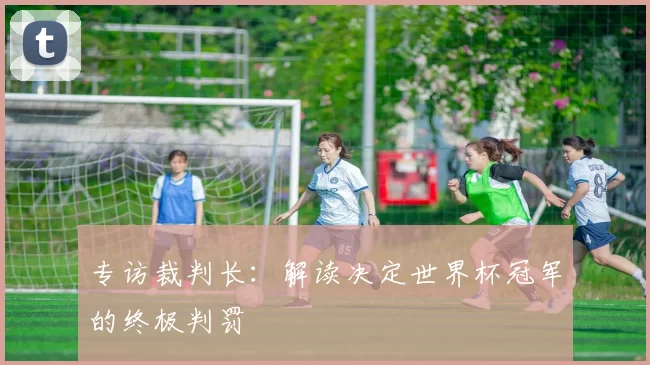 专访裁判长：解读决定世界杯冠军的终极判罚