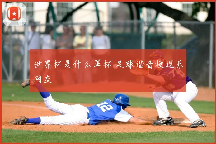 世界杯是什么罩杯 足球谐音梗逗乐网友