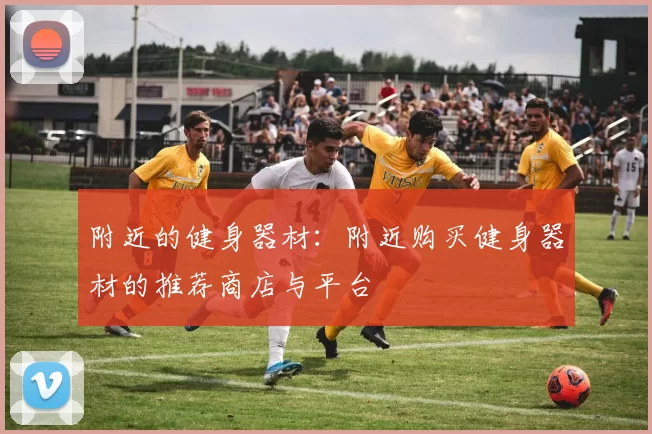 附近的健身器材:附近购买健身器材的推荐商店与平台