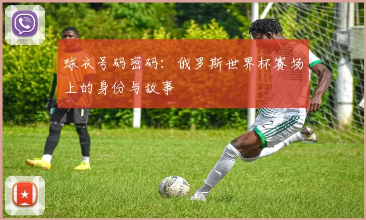 球衣号码密码：俄罗斯世界杯赛场上的身份与故事