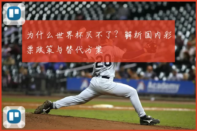 为什么世界杯买不了？解析国内彩票政策与替代方案