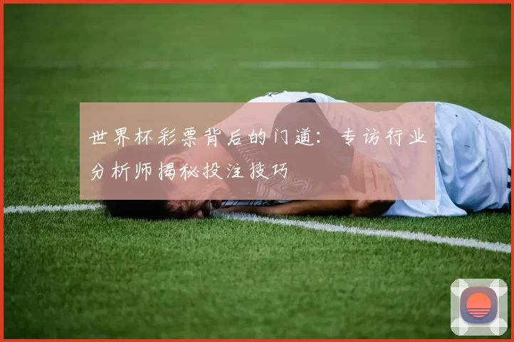 世界杯彩票背后的门道：专访行业分析师揭秘投注技巧
