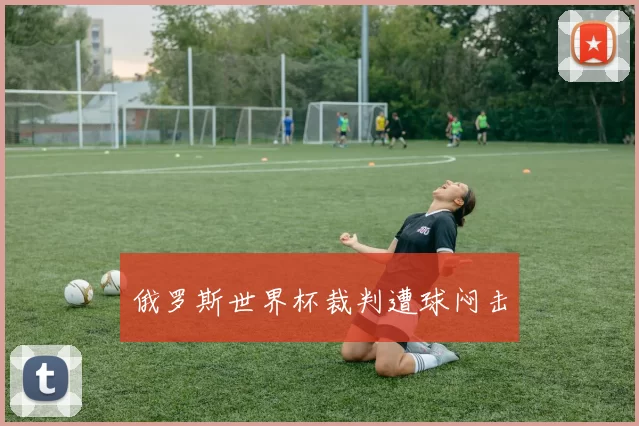 俄罗斯世界杯裁判遭球闷击
