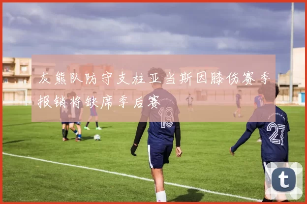 灰熊队防守支柱亚当斯因膝伤赛季报销将缺席季后赛
