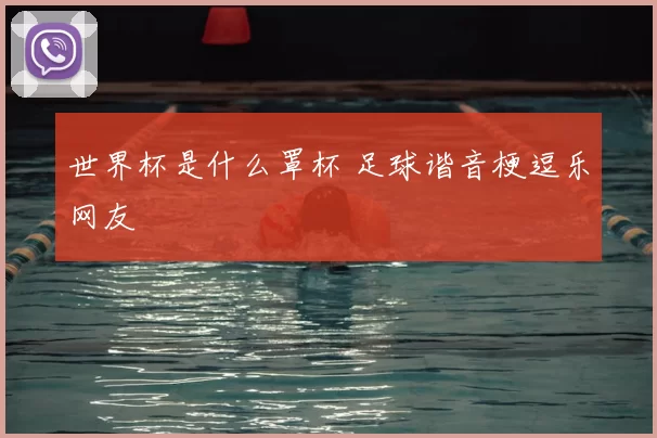 世界杯是什么罩杯 足球谐音梗逗乐网友