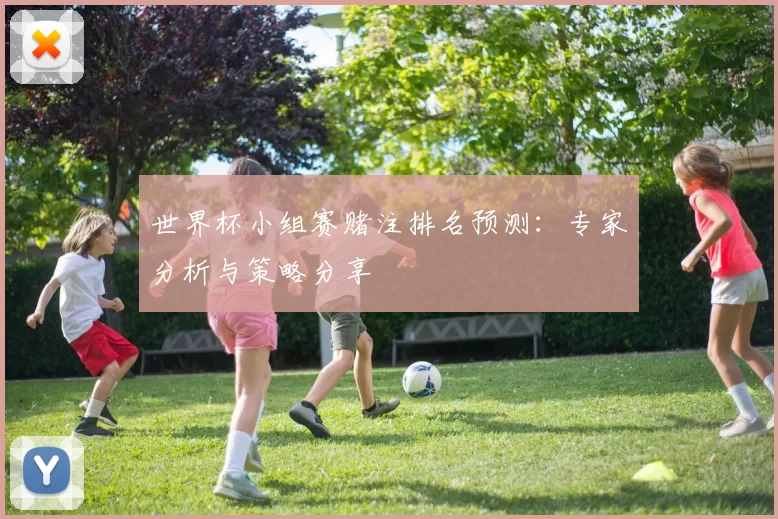 世界杯小组赛赌注排名预测：专家分析与策略分享