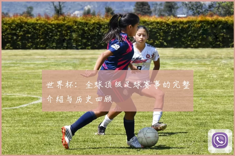 世界杯：全球顶级足球赛事的完整介绍与历史回顾