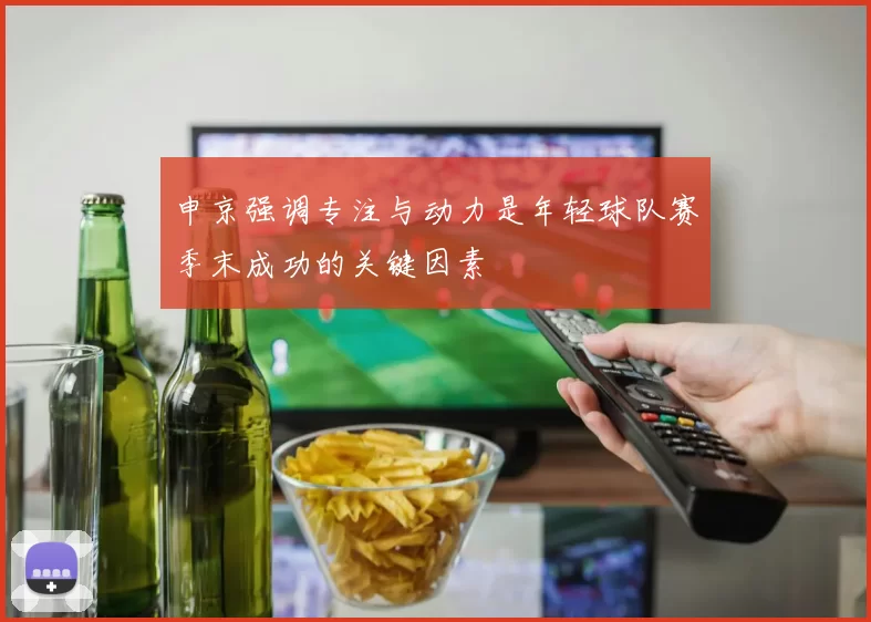 申京强调专注与动力是年轻球队赛季末成功的关键因素