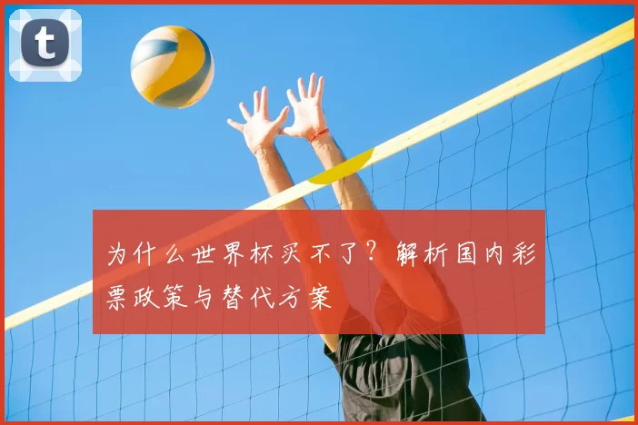为什么世界杯买不了？解析国内彩票政策与替代方案