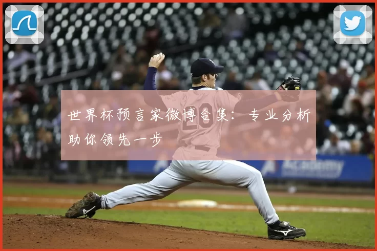 世界杯预言家微博合集：专业分析助你领先一步