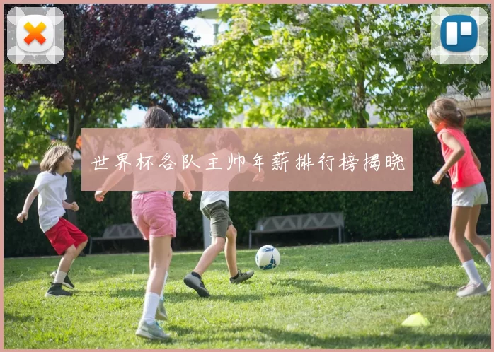 世界杯各队主帅年薪排行榜揭晓